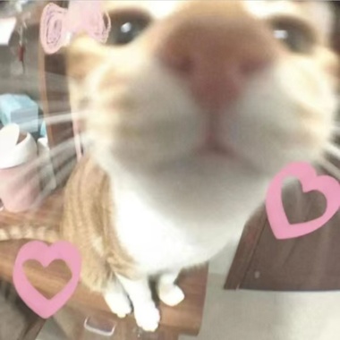 小小天秤ㄉ爱