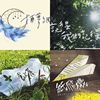 My Playlist 2