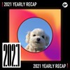 2021 个人年度精选之最