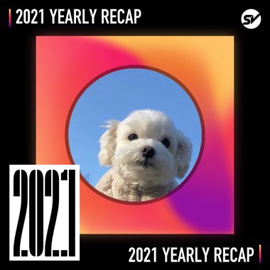 2021 个人年度精选之最