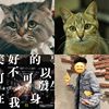 好晕⋯