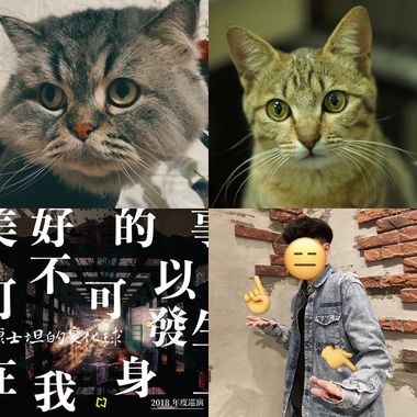 好晕⋯