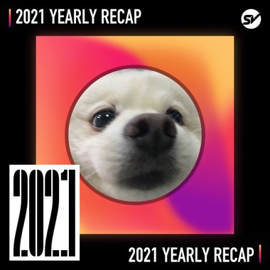 2021 个人年度精选之最
