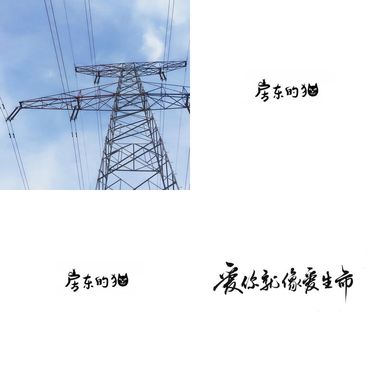 房东的猫