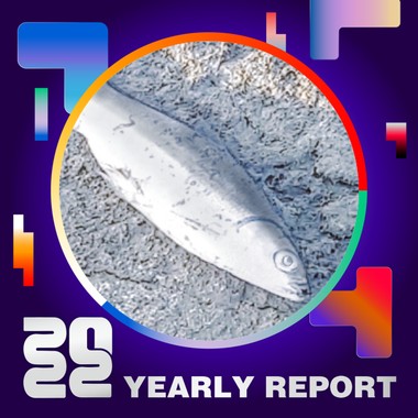 2022 个人年度精选