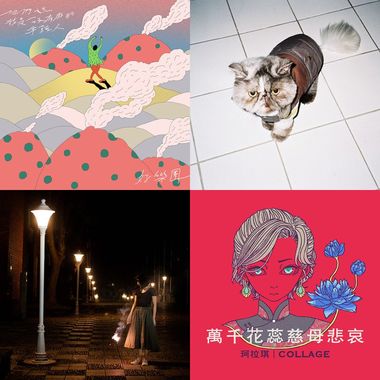 母灾