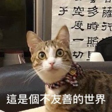 为我爱的女孩献上祝福