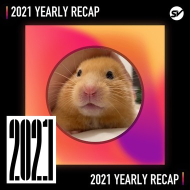 2021 个人年度精选之最