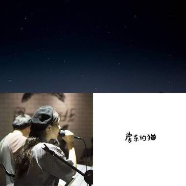 房东的猫