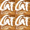 猫猫