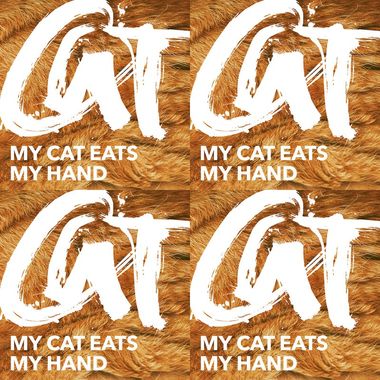 猫猫