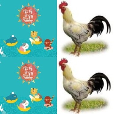 偷摸大鸡乐团
