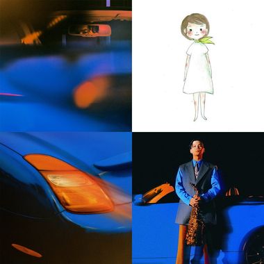 万寿菊