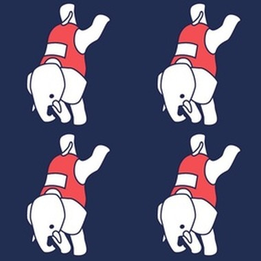 Elephant Gym