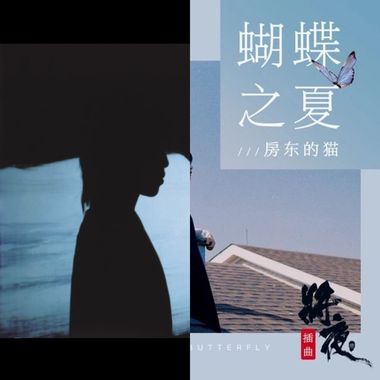 房东的猫