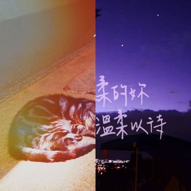 静