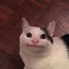 就酱