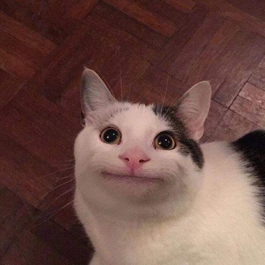 就酱