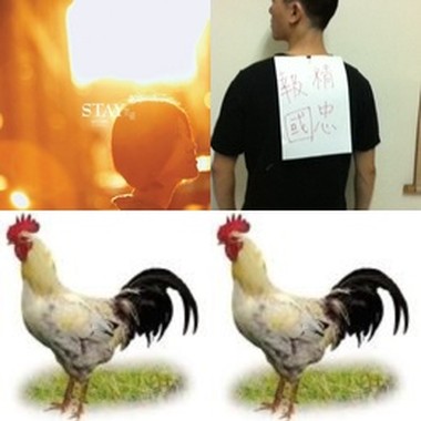 赞的(!)