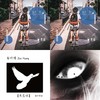 白萝卜Belabus