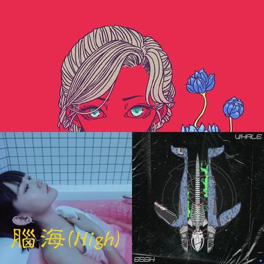 好听的歌