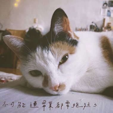 好听的歌