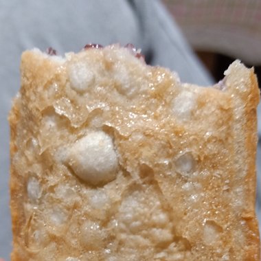 携带者