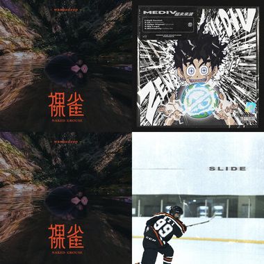 ヾ(*´∀｀*)ﾉ