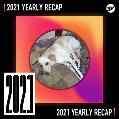2021 个人年度精选之最