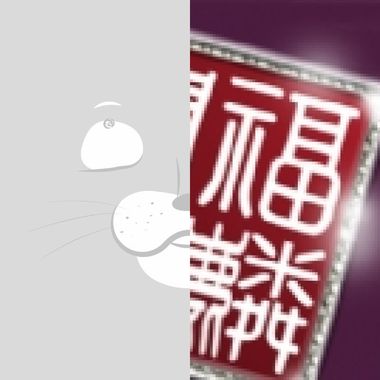 我的歌单