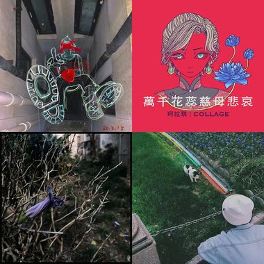 一个歌单