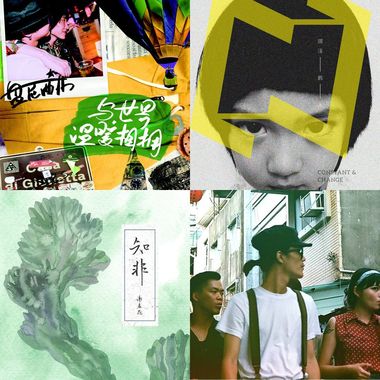 我的歌单  全部