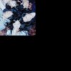 songs