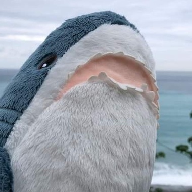 （⁎⁍̴̛ᴗ⁍̴̛⁎)