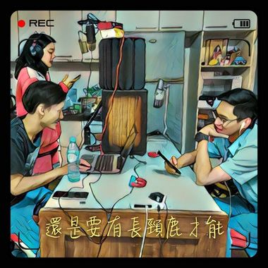 我的歌单