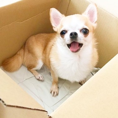 我听