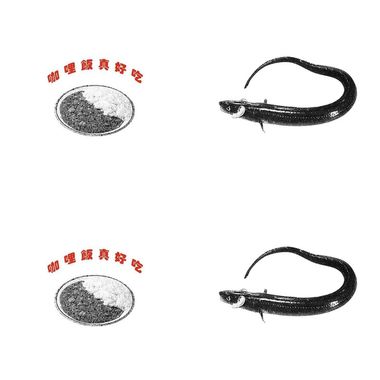 哈哈咖哩