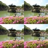 新歌曲