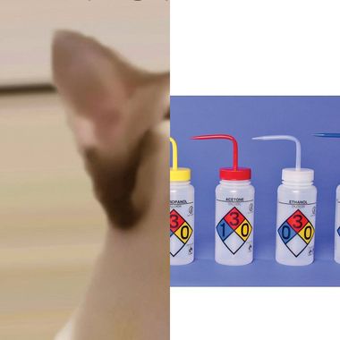 4j