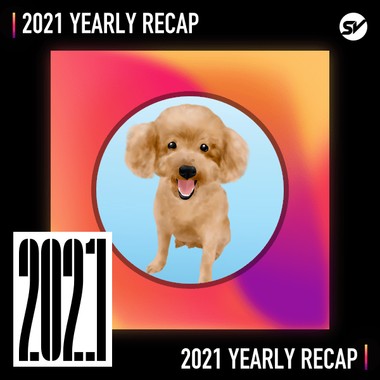 2021 个人年度精选之最