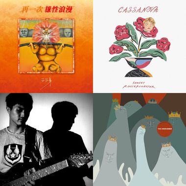 傻子与白痴喜欢的