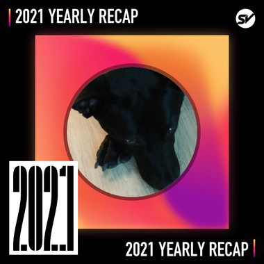 2021 个人年度精选之最