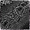 友情—入围