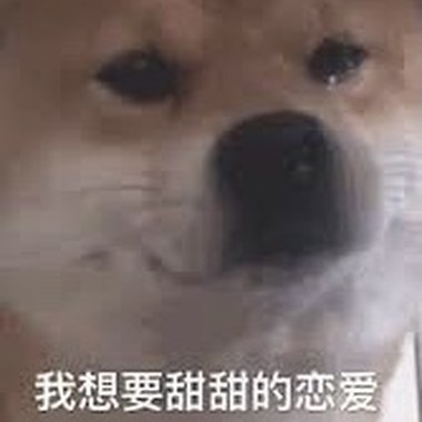 同是天涯晕船仔