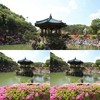 万芳音乐