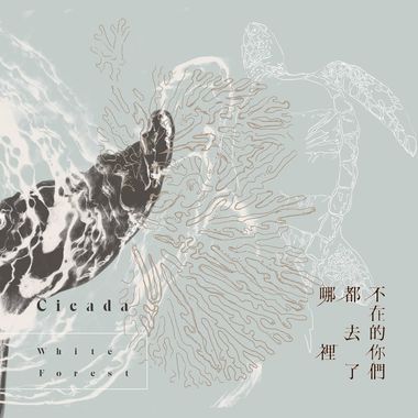 我的歌单 3