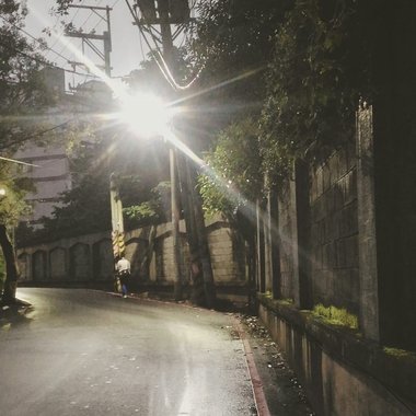 我的歌单