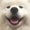 时而温柔/时而沉静