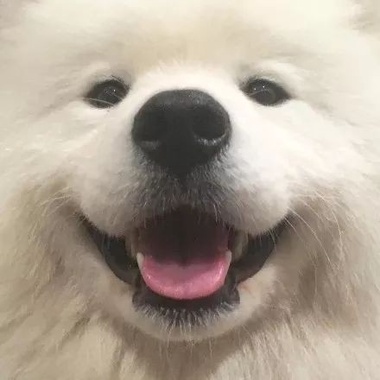 时而温柔/时而沉静