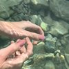 还没想好怎么办
